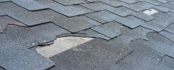Close up image of shingles with portions peeled away from the roof.