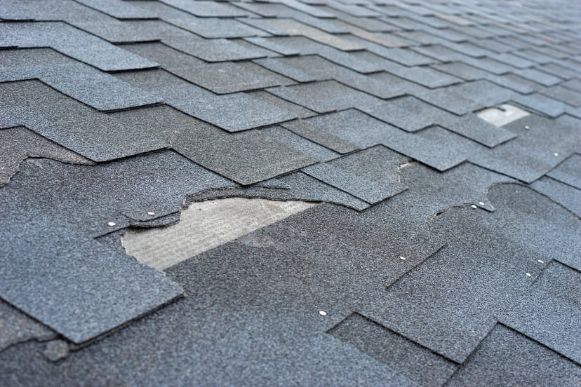 Close up image of shingles with portions peeled away from the roof.