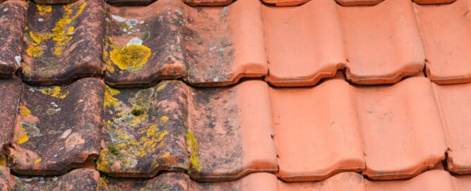 Close up of roof tiles half with moss and half cleaned.