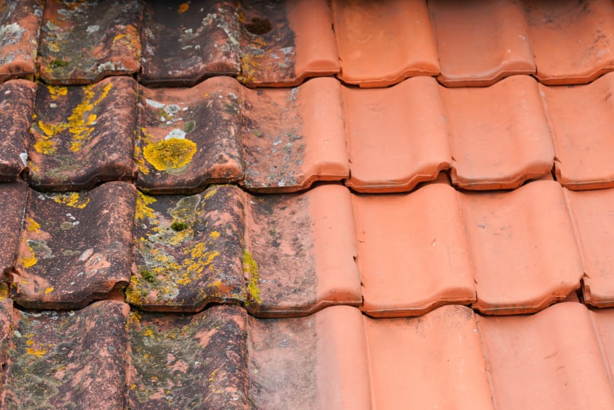 Close up of roof tiles half with moss and half cleaned.