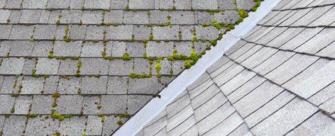 Close-up of grey roof with moss.