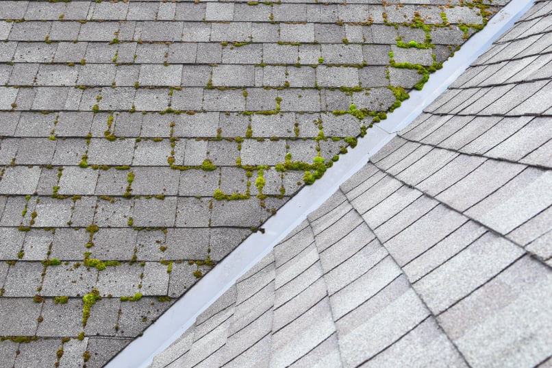 Close-up of grey roof with moss.