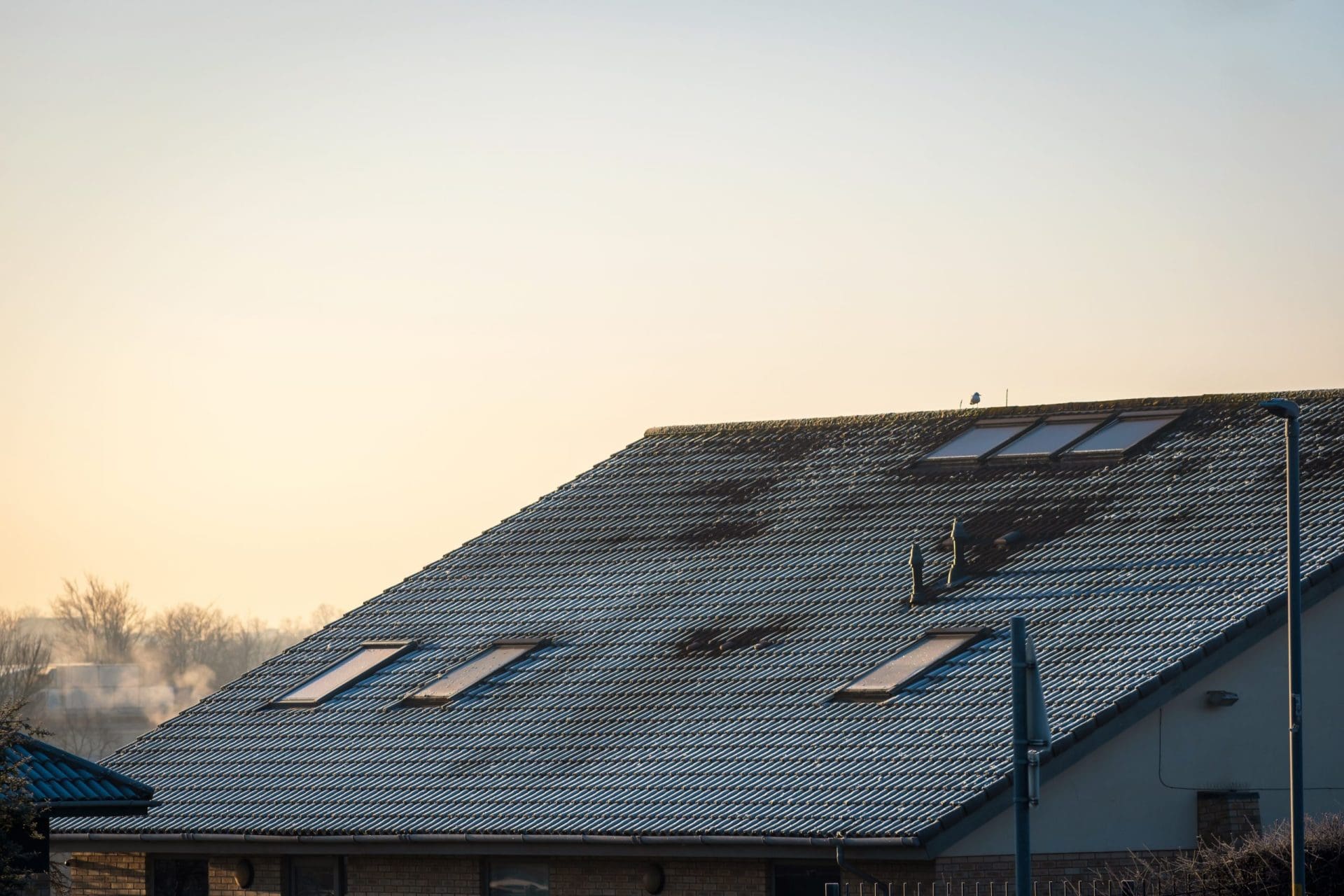 Dirty house roof.