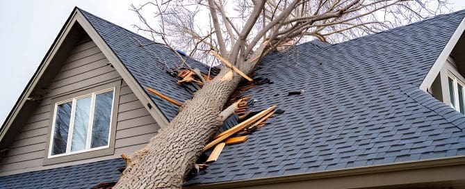 Storm Damage: Large Tree Branch Collapsed on Residential Roof During Severe Weather.