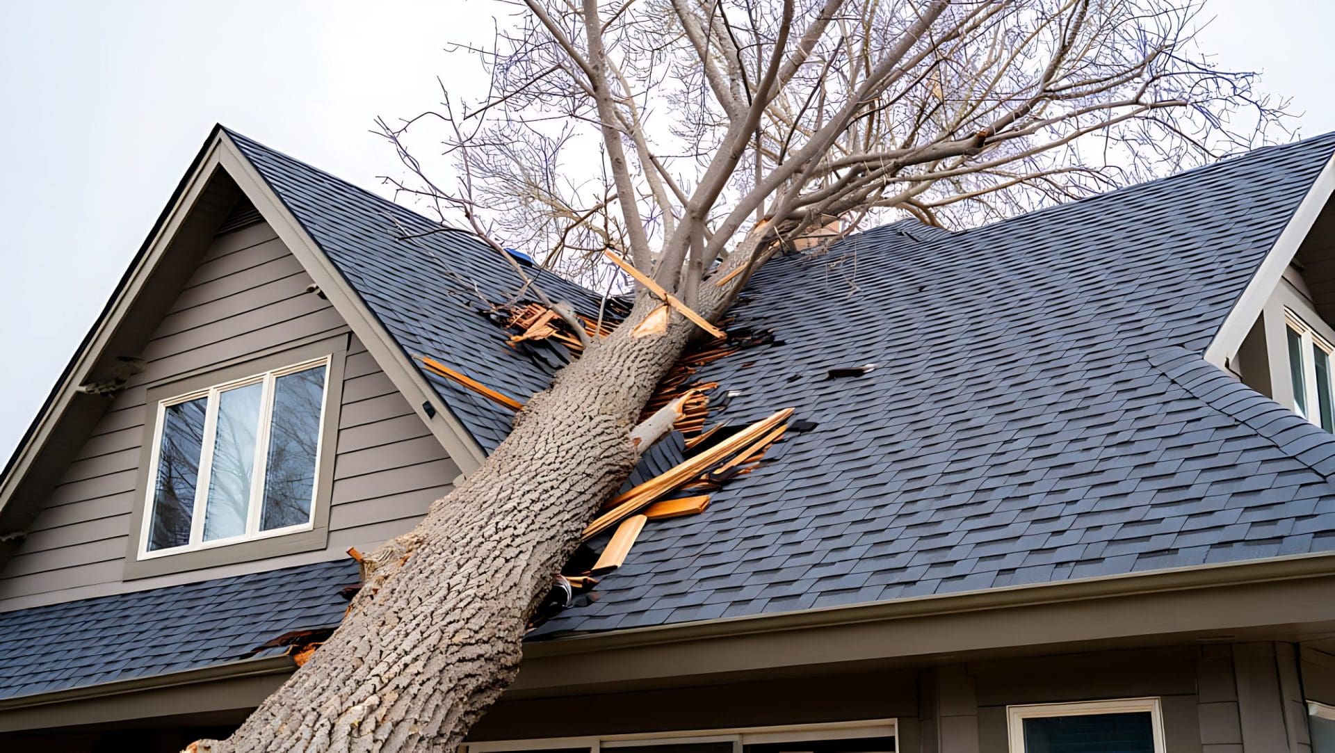 Storm Damage: Large Tree Branch Collapsed on Residential Roof During Severe Weather.