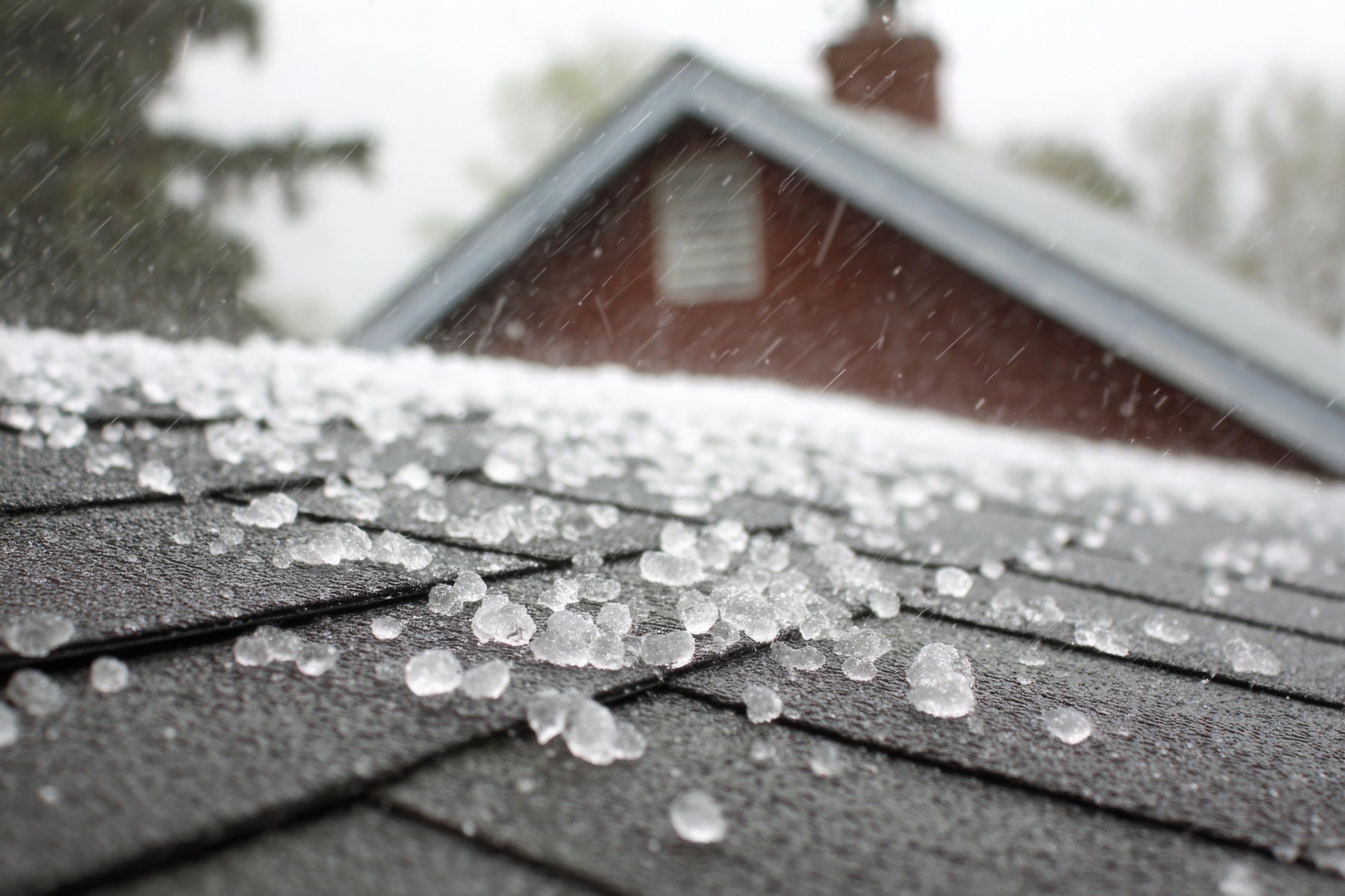 Small hailstones accumulating on an asphalt-shingle roof during a storm.