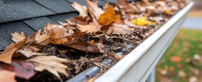Gutter clogged with decaying leaves on roof.