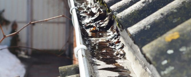 roof gutter filled with frozen water and dead leaves, showing signs of blockage and poor drainage.