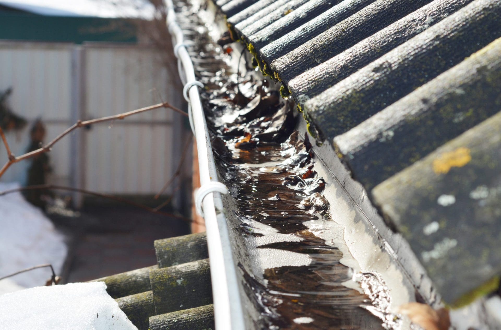 roof gutter filled with frozen water and dead leaves, showing signs of blockage and poor drainage.