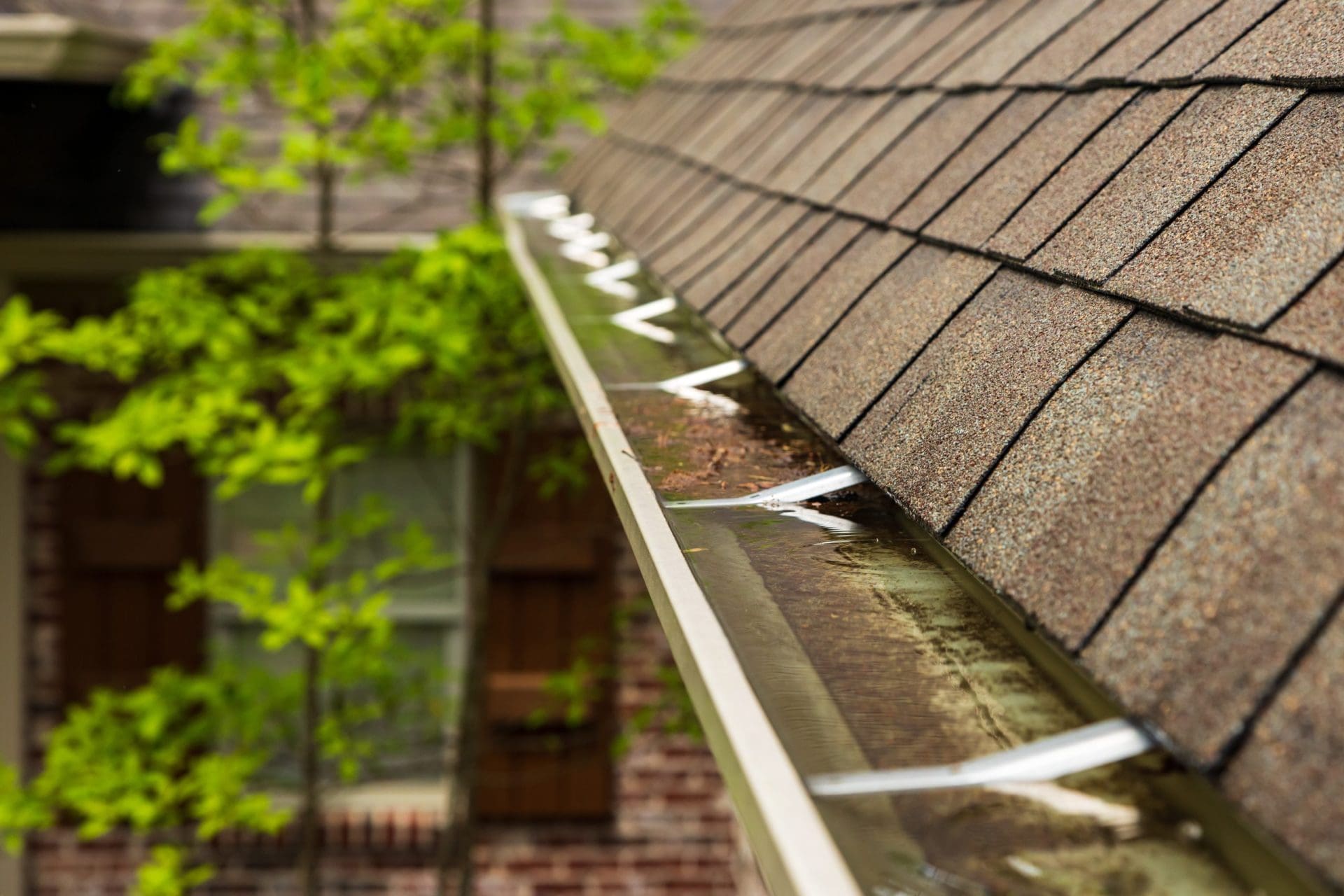 A rain-filled gutter along a shingled roof, with standing water and debris buildup.