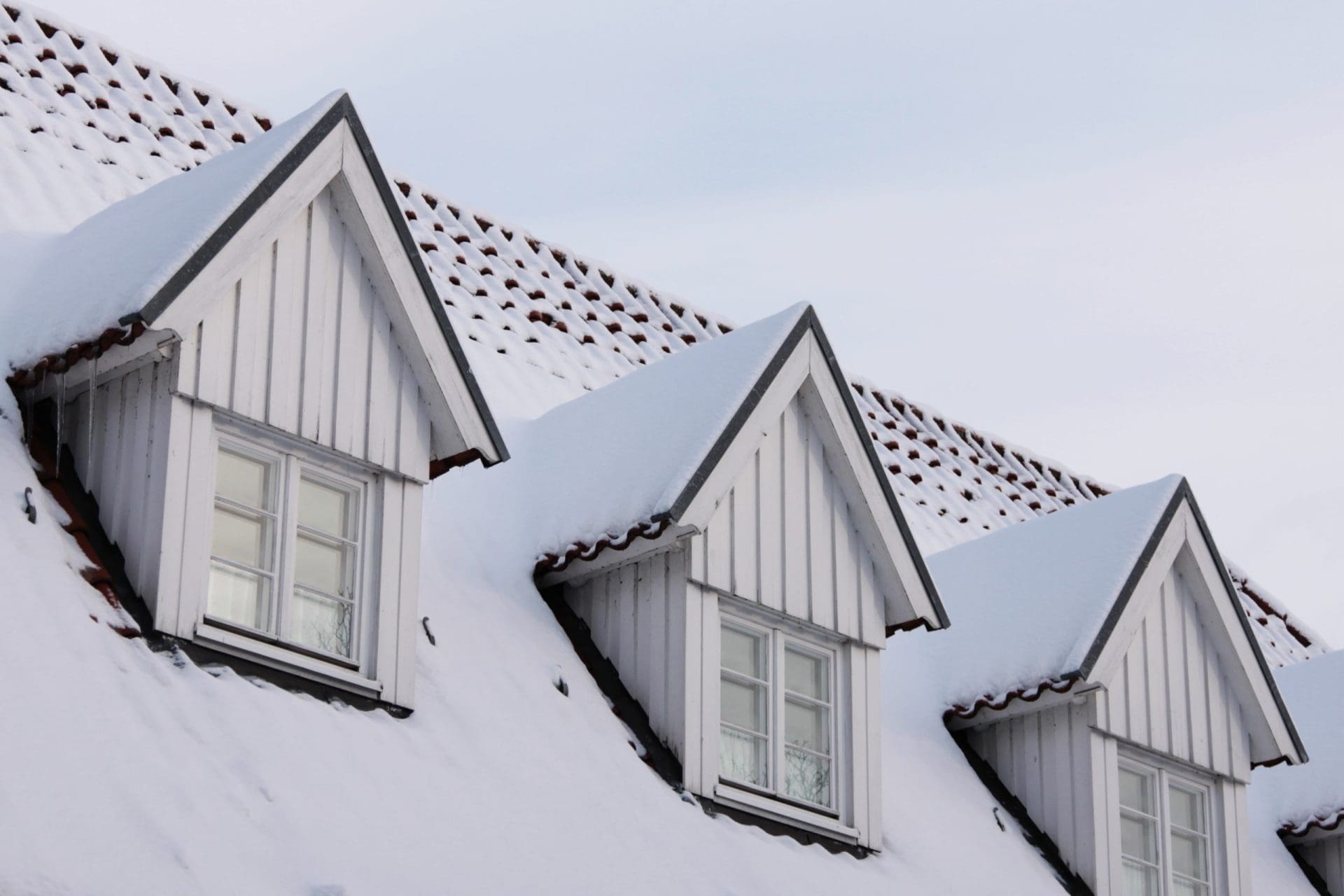 A row of dormer windows on a snow-covered roof, with fresh snow resting on the shingles and window frames.