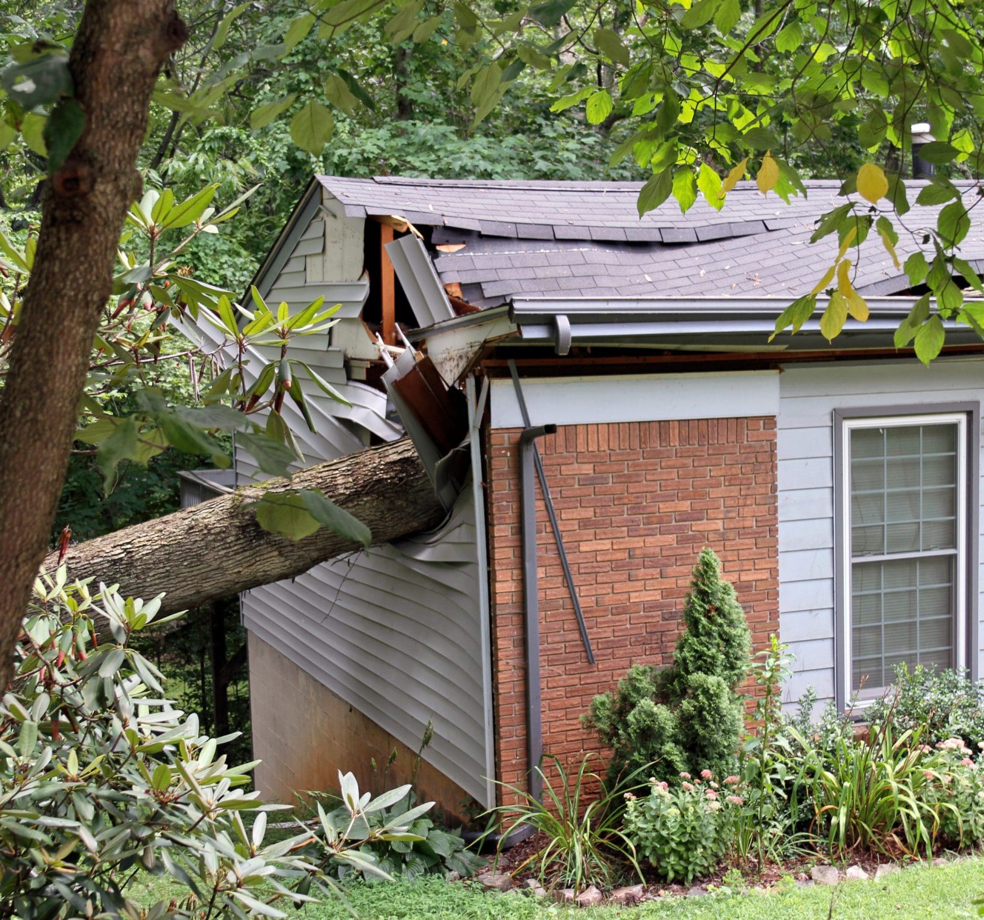 A tree falls on a house during a storm ripping it in two.