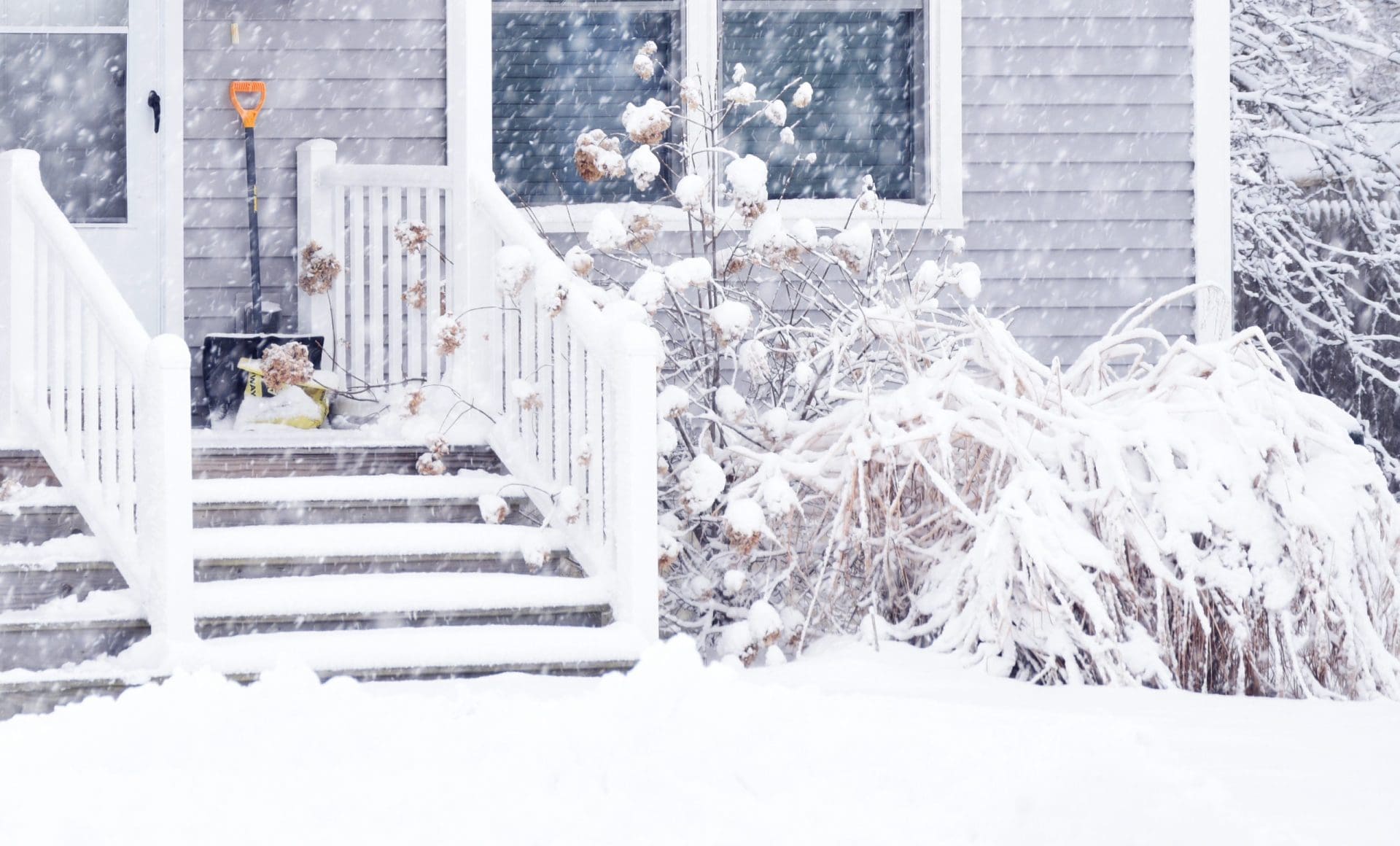 Porch of a house and plants around during a snowfall. Bad weather, snow storm.