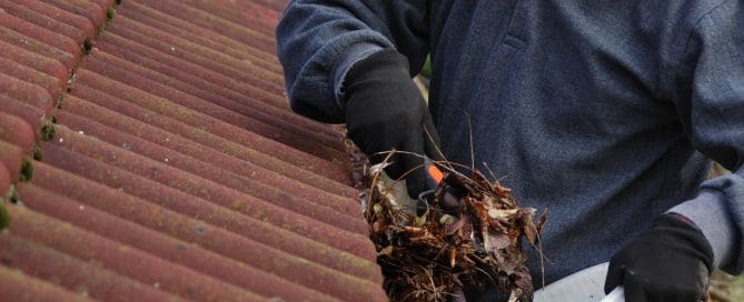 Person cleaning gutters.