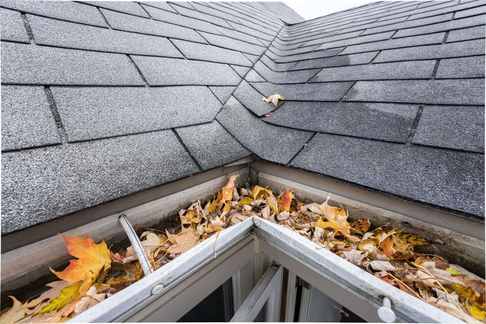 Gutters are full of leaves and must be cleared.