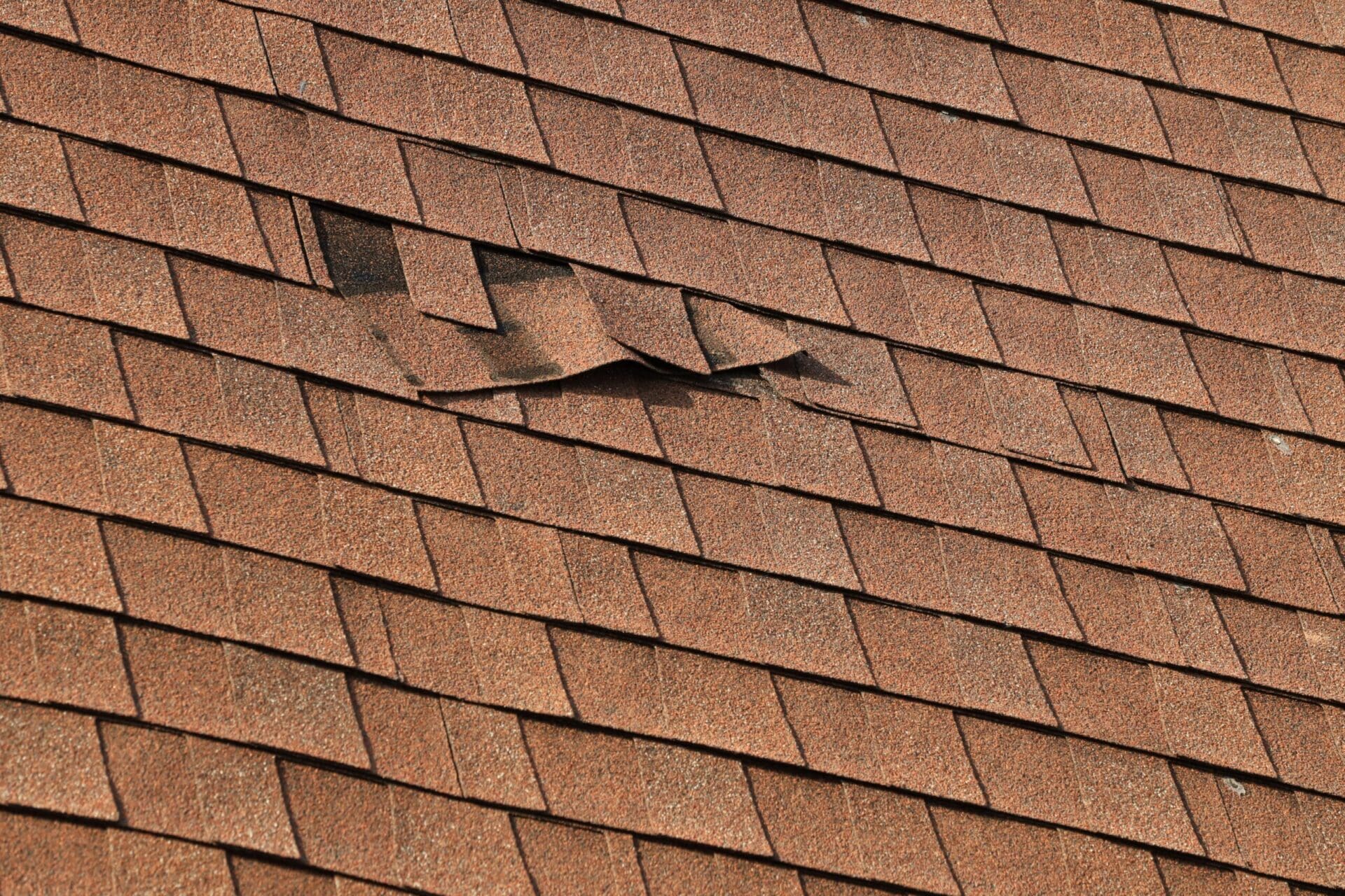 Close-up of light brown shingles on roof.