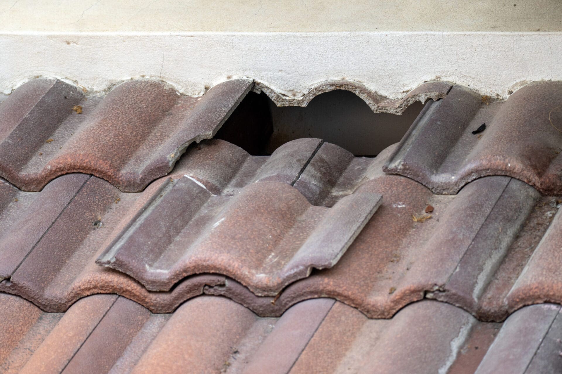 Damaged old roof tile in need of repair.