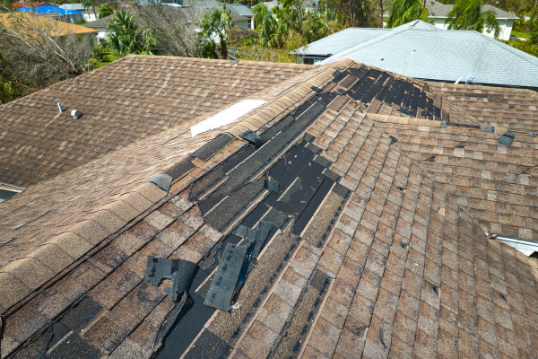 Aerial view of an asphalt shingle roof with multiple shingles lifted, peeled back, or torn away, exposing the underlayment. Surrounding homes and storm-battered trees are visible in the background, consistent with high-wind or storm damage.