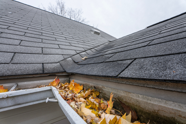 A close-up of a metal gutter clogged with yellow and brown fallen leaves, attached to a home with gray asphalt shingle roofing. Bare tree branches and an overcast sky are visible in the background.