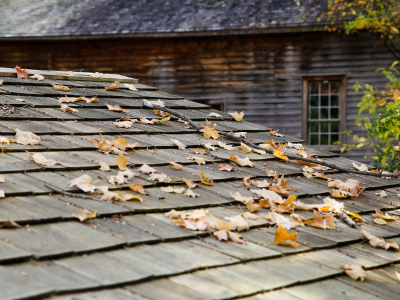 A close-up view of a gray shingle roof scattered with fallen autumn leaves. A weathered brown wooden building with a window is visible in the background.