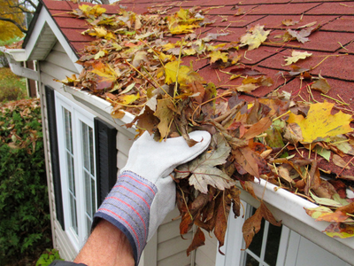 A gloved hand lifting a clump of wet fallen leaves out of a gutter, with more leaves scattered across the shingle roof behind it.