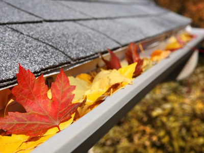Red and yellow maple leaves packed into a white gutter along the edge of a gray shingle roof in autumn.