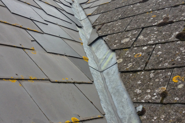 A metal valley channel running between two slate roof slopes, with lichen and small debris collected along the channel.
