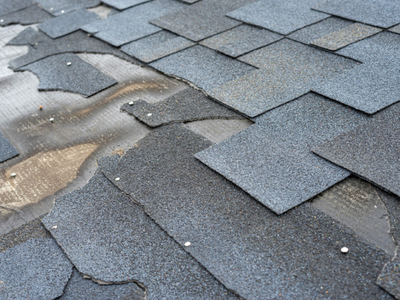 A section of shingle roof where shingles have been torn off, exposing the underlayment and a row of exposed nail heads.