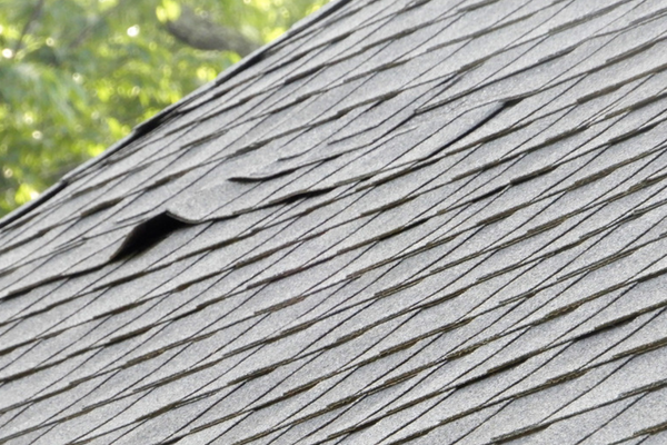 A gray asphalt shingle roof with several shingles lifted and curled out of line and one shingle broken away, typical of wind damage.